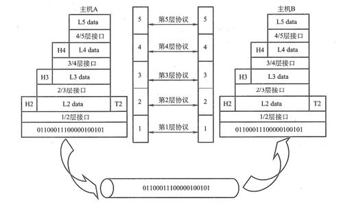計(jì)算機(jī)網(wǎng)絡(luò)學(xué)習(xí)的收獲與思考